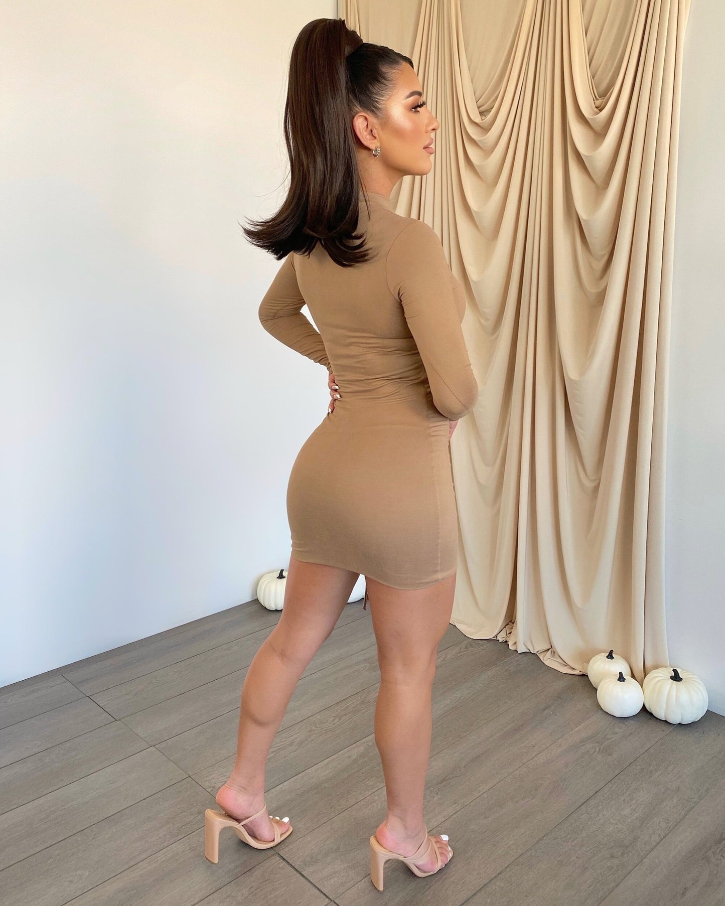 Mocha Long Sleeve Side Scrunch Dress